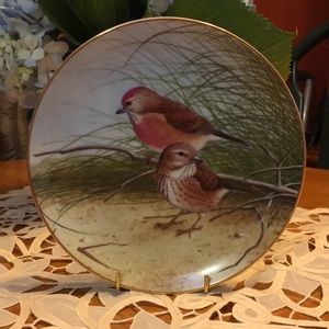 Collectible bird plate, Linnet brand 1982